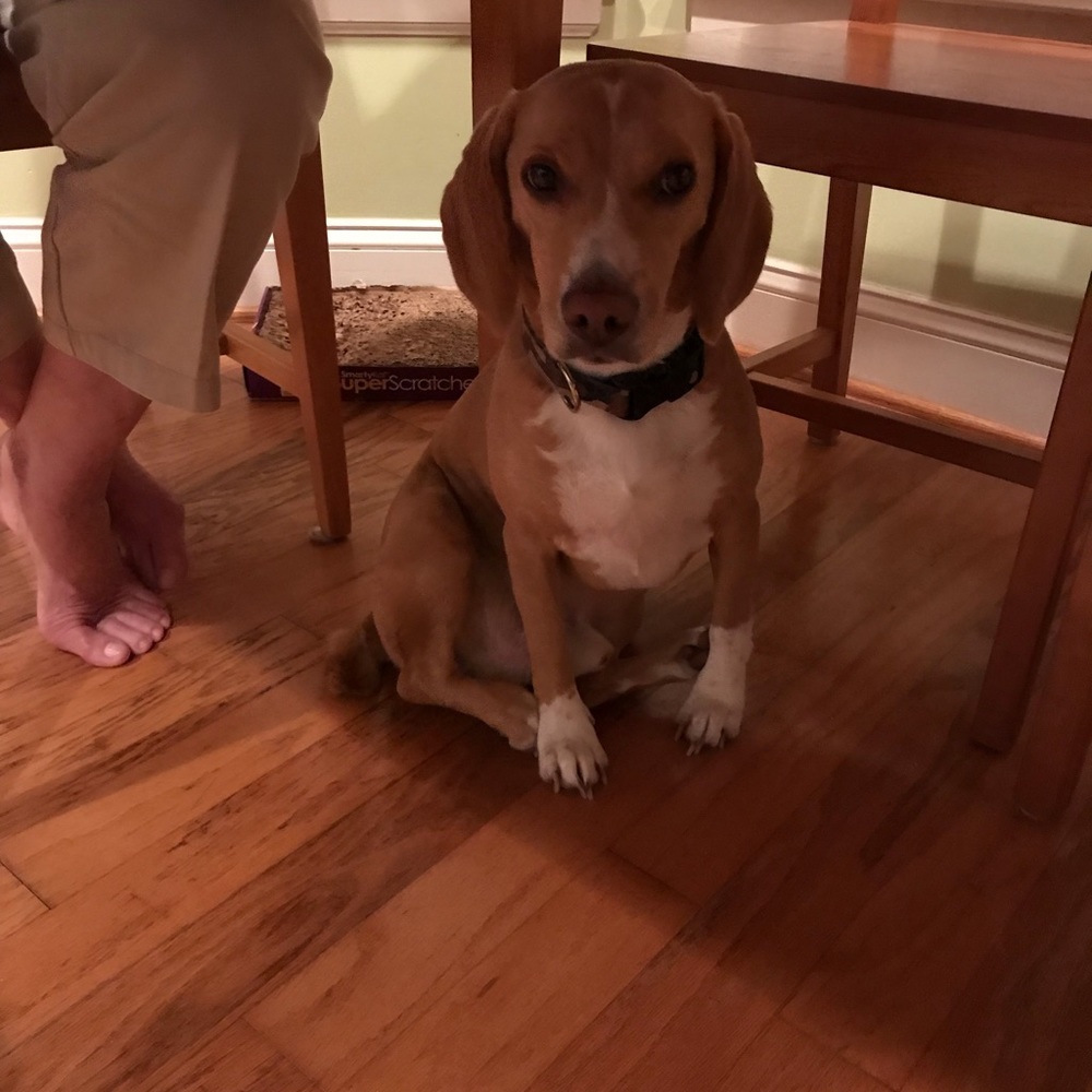 Meet your Posher, Rebecca